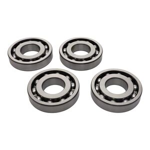 EDS 200/300 Bearing PK 4, A41889707 EDS 200/300 Bearing PK 4, A41889707