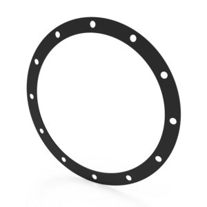 Gasket EOF300, A22909003 Gasket EOF300, A22909003